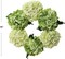 15" Mixed Green Hydrangea Wreaths - 2-Pack, Lifelike Blooms on Grapevine Ring, Perfect for Front Door, Wall & Wedding Décor - Spring & Year-Round Accent, Floral Home by Artificial Flowers